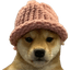 dogwifhat Tether logosu
